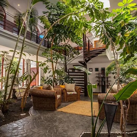Vila Oasis