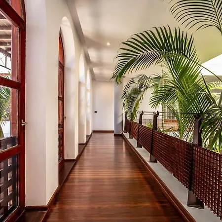 Oasis Tías